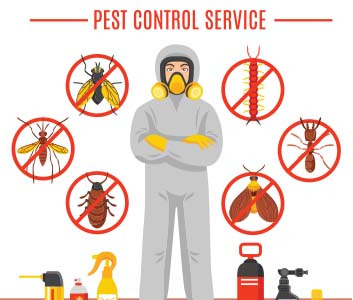 drawing illustrating the different types of pest control services